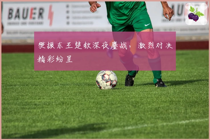 樊振东王楚钦深夜鏖战，激烈对决精彩纷呈