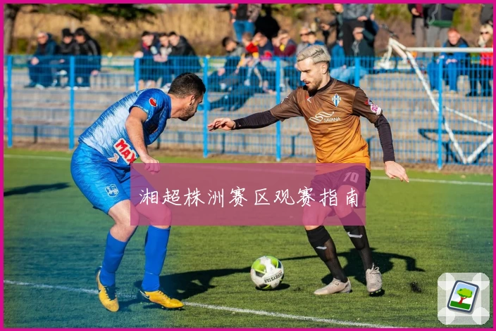 湘超株洲赛区观赛指南