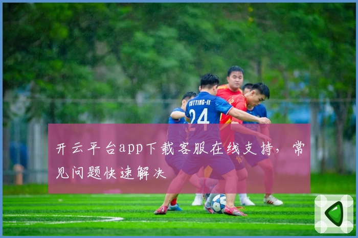 开云平台app下载客服在线支持，常见问题快速解决