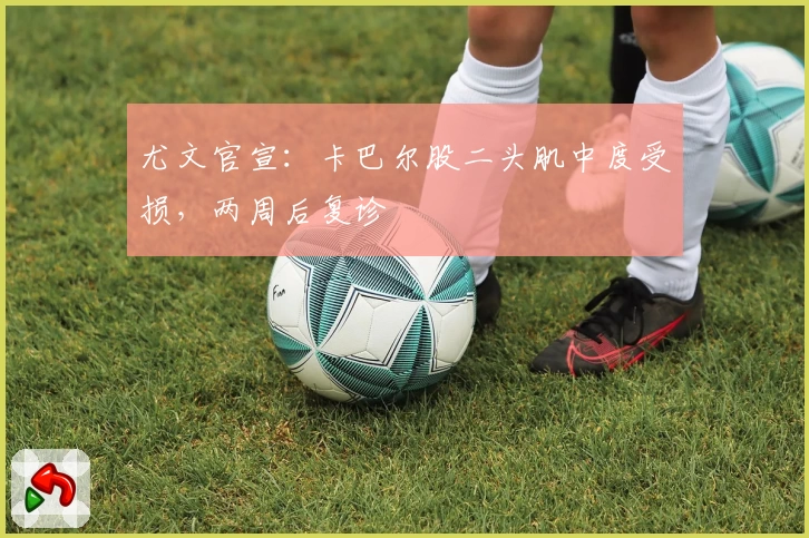 尤文官宣：卡巴尔股二头肌中度受损，两周后复诊
