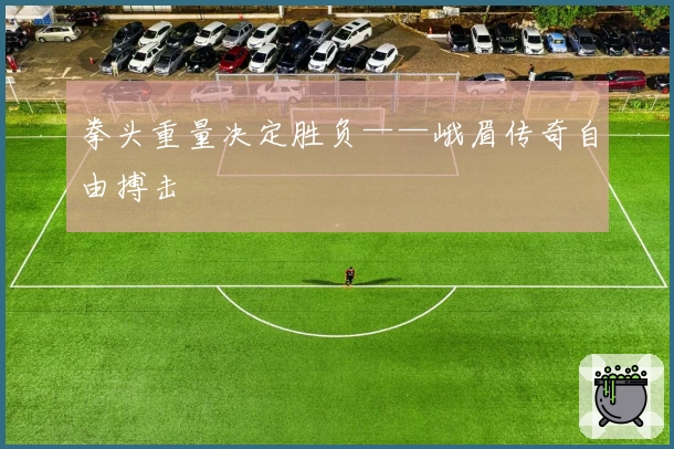 拳头重量决定胜负——峨眉传奇自由搏击